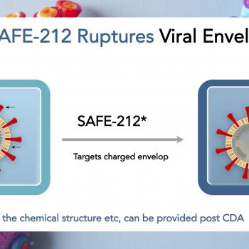 Molecule SAFE-212