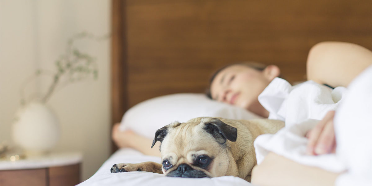 woman asleep with her dog