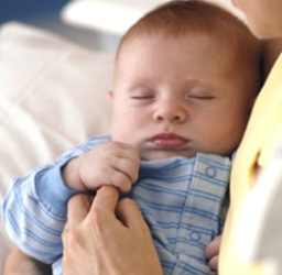 Maternal Diet, Foetal Programming and Adult Health | Total Health