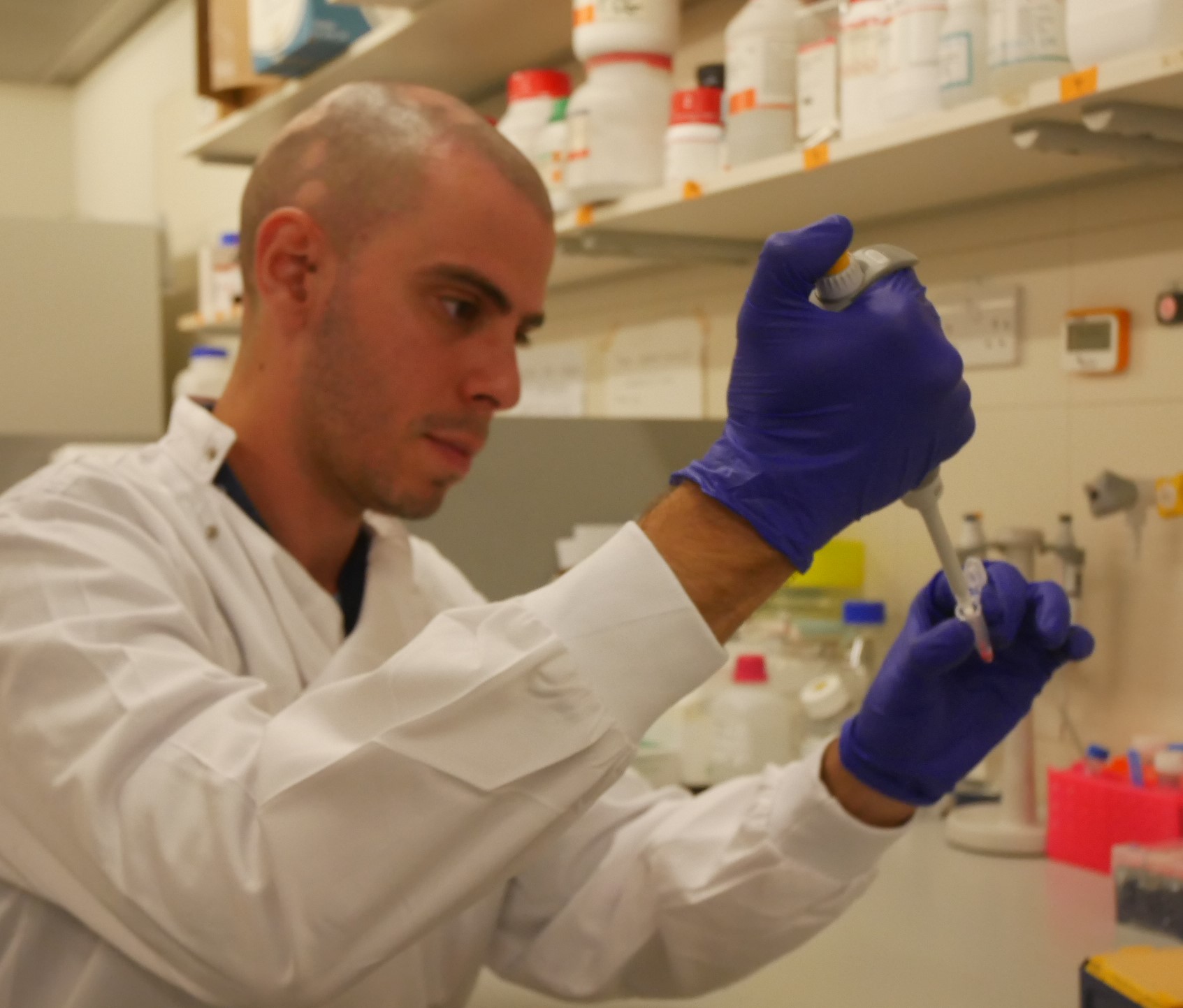 Dr Victor Llombart