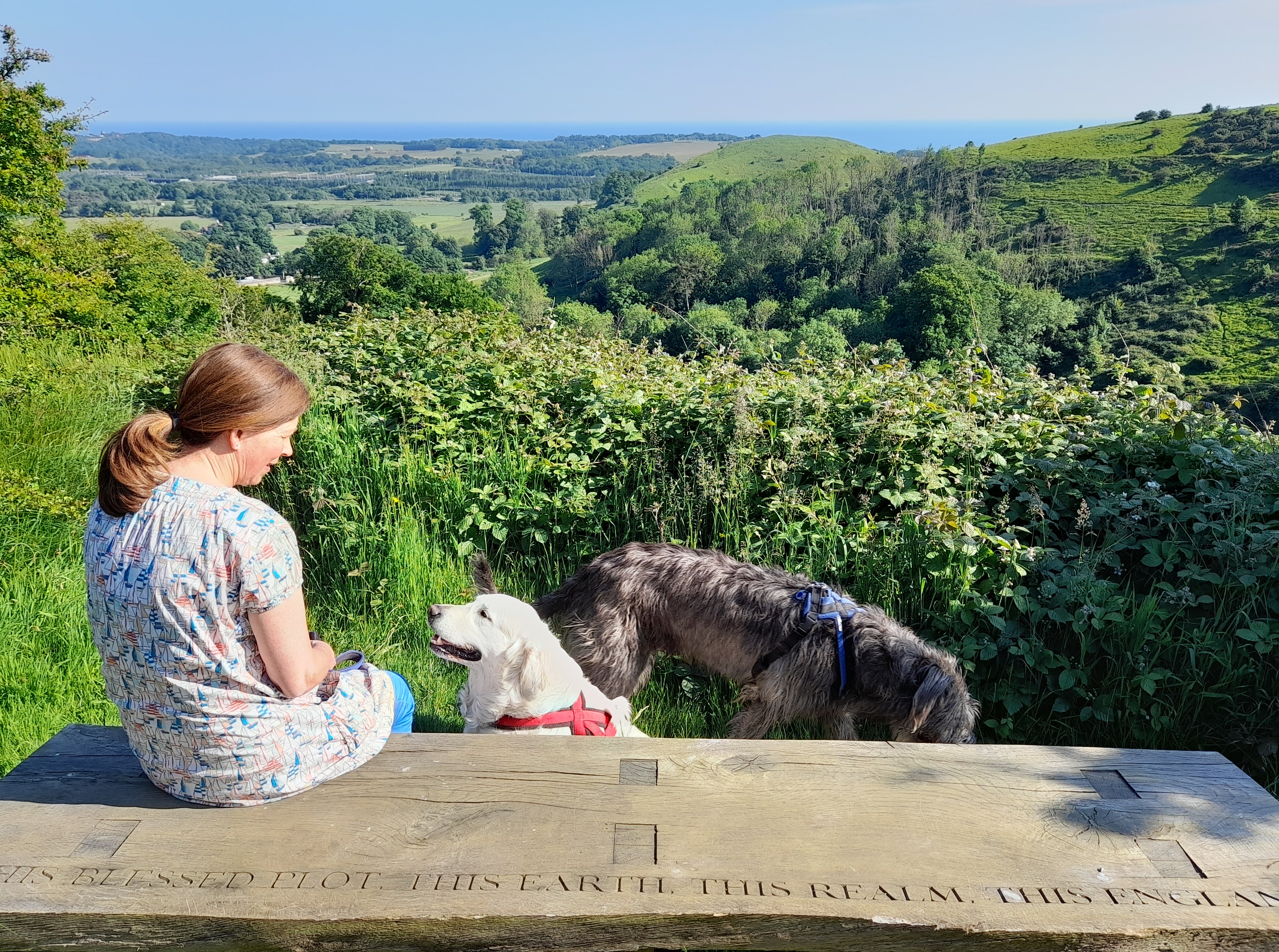 This blessed plot, this England