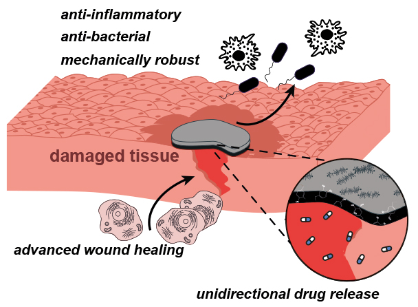 Dr bandage wound healing