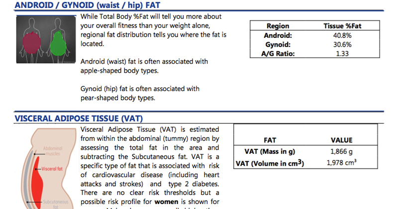 Visceral fat