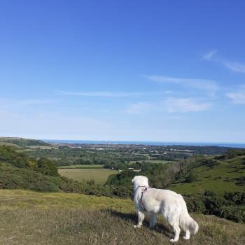 A view from the Garden of England