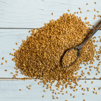 flaxseed lignans