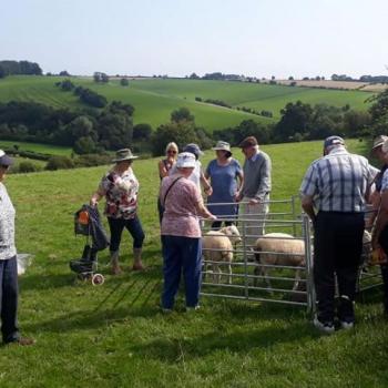 Getting people with dementia outdoors