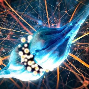 Synaptic biomimicry