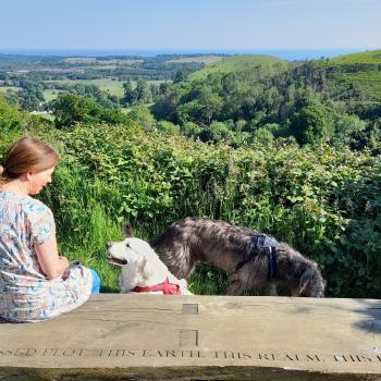 "This blessed plot, this earth, this realm, this England"