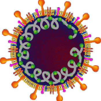 COVID-19 mutations