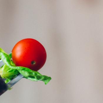 Tomatoes edited to contain vitamin D