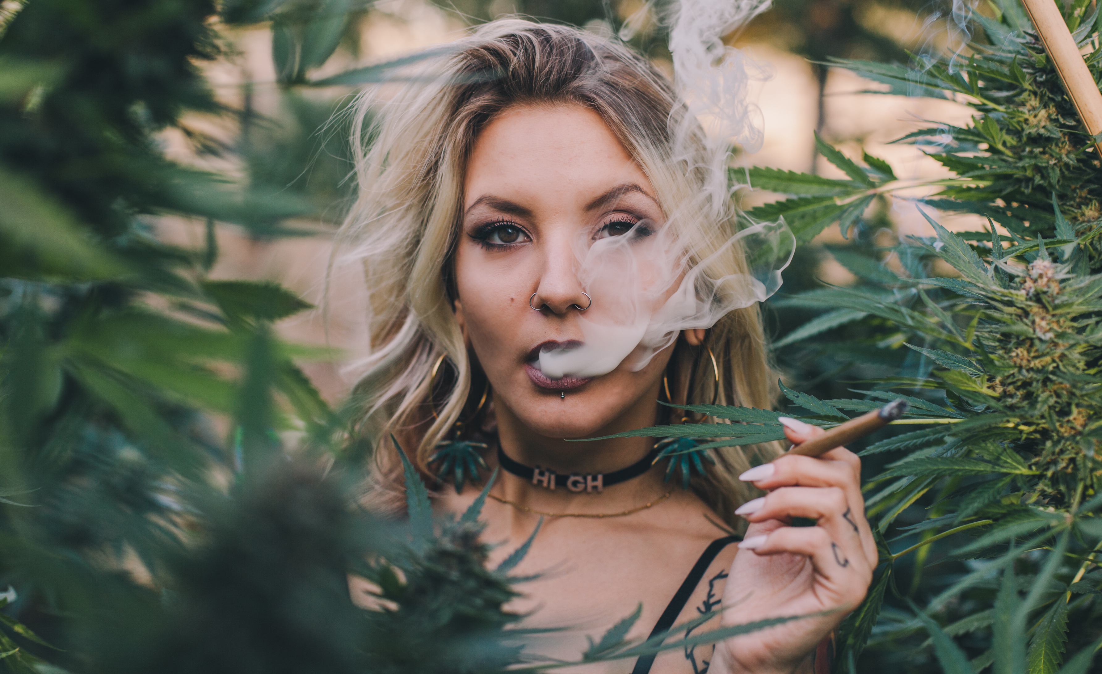 Sophie Sativa